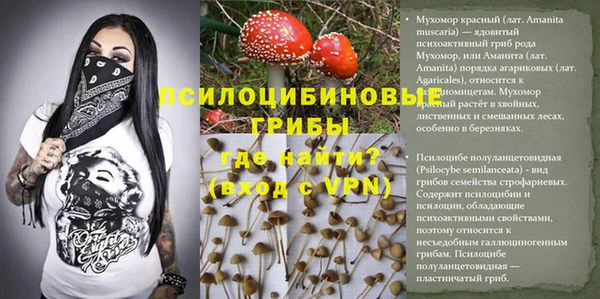 сатива Майский