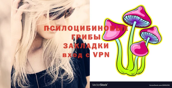 a pvp Медногорск